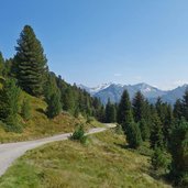 forststrasse zur kreuzwiesenalm schmankerlweg