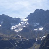 blick auf gruene wand mit stillupkees