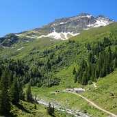 moostal bei alpe tritsch alm