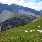 flora hochalmwiesen bei falscher kogel