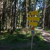 wanderweg hasental nach hall in tirol