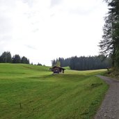 beginn forststrasse mtb route und weg nr