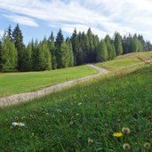 wiesen bei dorflift st oswald kartitsch