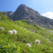 almwiesen am weg