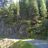 weg bei heisinger wald