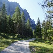 pinnistal weg richtung pinnisalm