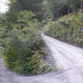 abzweigung wiesenweg pfunds und forstweg brunnwald