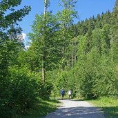 uferweg aschauer ache radroute