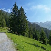 weg zur peer alm