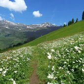 weg von der poltnalm zur stoecklalm