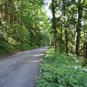 hahnenkamm forststrasse kitzbuehel