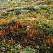 landschaft bei baerenhoppe