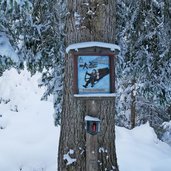 imst winterweg rodelbahn weg zur latschenhuette