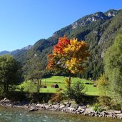 herbststimmung an der rosanna bei schnann