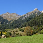 weide bei pettneu am arlberg