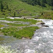 malfonbach feuchtwiesen bei untere malfon alm