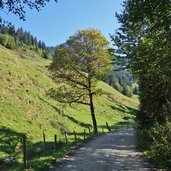 beginn forststrasse zur hochwildalm aurach