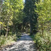 beginn forststrasse zur hochwildalm aurach