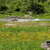 malfonbach feuchtwiesen bei untere malfon alm