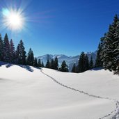 schneeschuh spuren im schnee