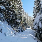panoramaweg weg reith im alpbachtal auf den reither kogel winter