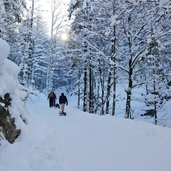 naturrodelbahn aschenbrenner kufstein rodeln