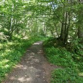 weg a kaiserklamm richtung erzherzog johann klause