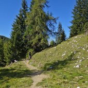 weg von weissenbachalm zur baerenbadalm bei weissenbachsattel