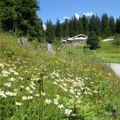 thoerleweg von ehrwald zur hochtoerlehuette