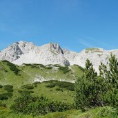 kraeuterwiesen karwendelgebirge