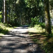 wanderweg von reith bei kitzbuehel zum schwarzsee ueber gieringer weiher