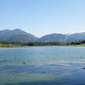 pillersee mit blaesshuehnern