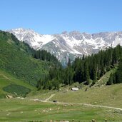 moostal viehweiden dahinter lechtaler alpen