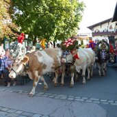 Kaiserwinkl Urlaub Herbst Veranstaltungenl