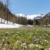 Matrei Gschlosstal Osttirol