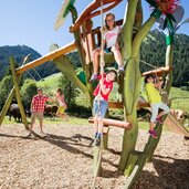 Spielplatz Pflanenwelt