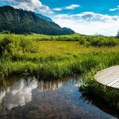 Walchsee Sehenswertes Schwemm