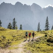 Wandern am Feldberg in der Region