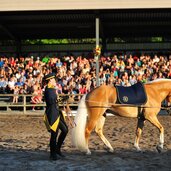 fohlenhof ebbs schauprogramm