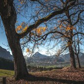 herbst kufsteinerland