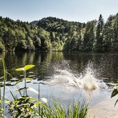 pfrillsee kufstein see natur naturbadesee