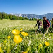 saut wandern