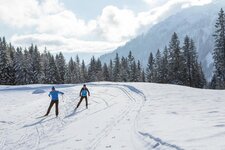 SFL Langlaufen Hoehenloipen