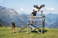 adlerbuehne geniesserberg ahorn foto