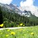 blumenwiese und karkopf hochwand mieminger kette bei gaistalalm