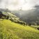 Alpbach Sommer