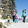 Winterwandern Almpromenade Gerlosstein