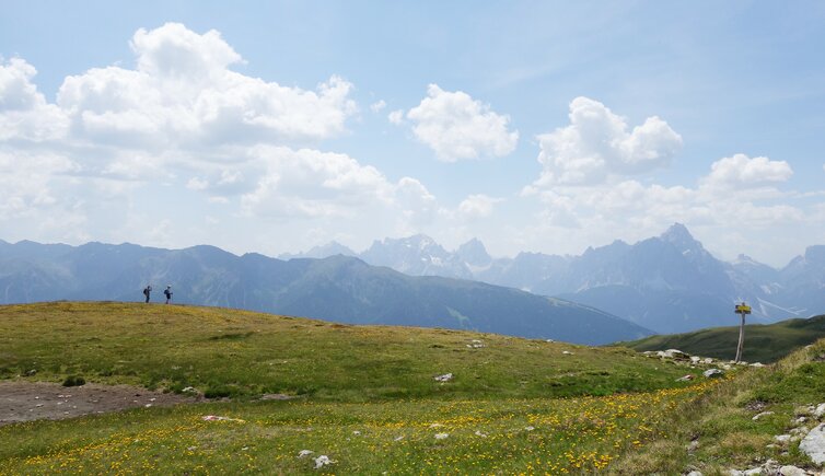 thurntaler mit bonner hoehenweg