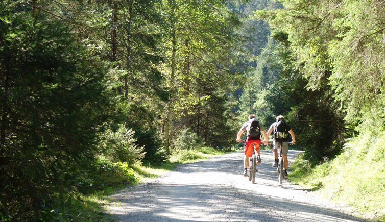 mtb route sendersweg radfahrer mountain biker