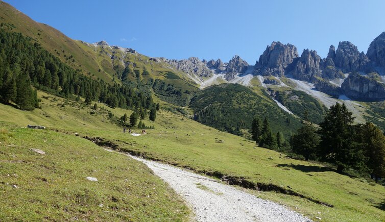 kemater alm blick auf kalkkoegel fr